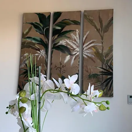 Dcm Lofts * Arcozelo (Porto)