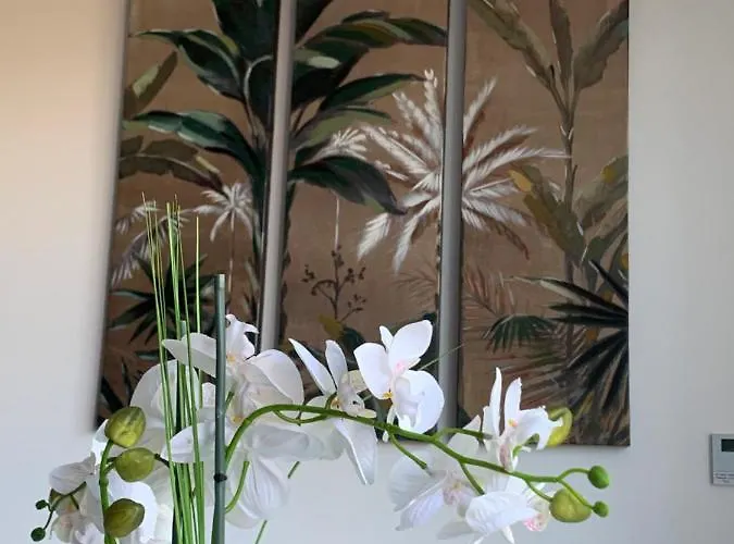 Dcm Lofts * Arcozelo (Porto)